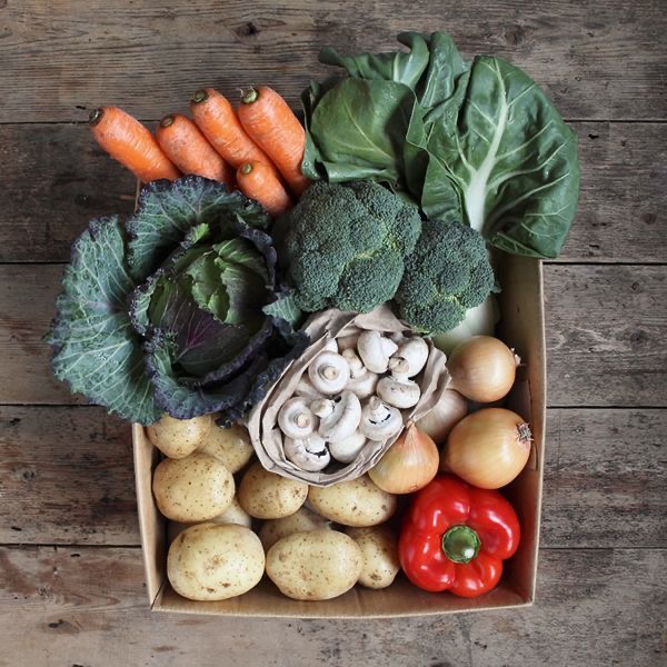 Premium quality organic produce selection